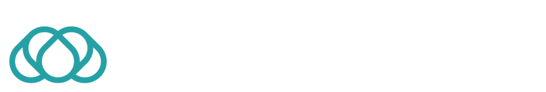 Automayoreo